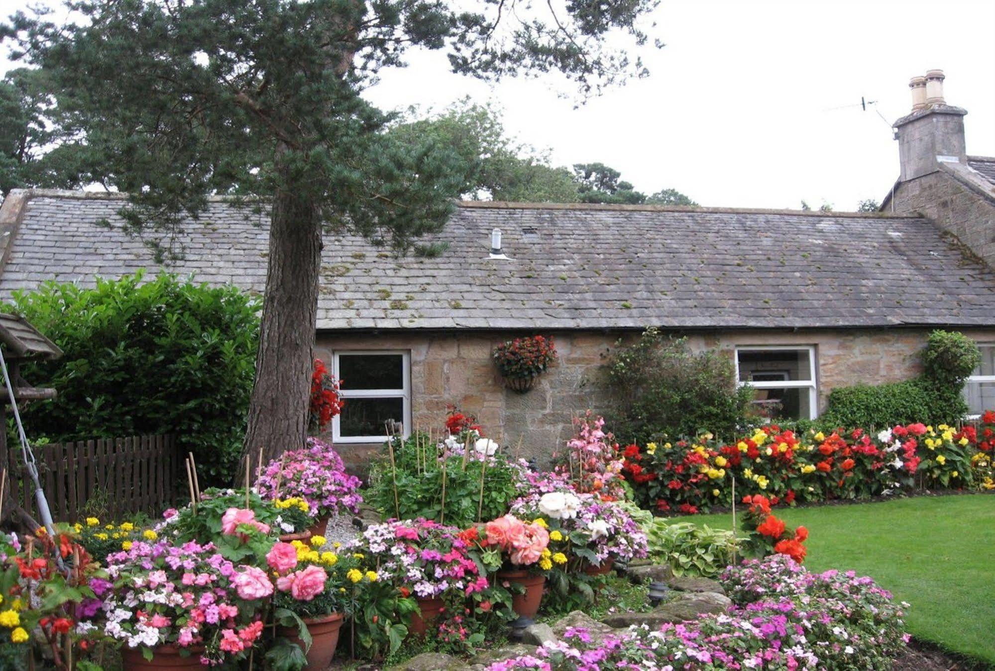 Blackaddie House Hotel Sanquhar Dış mekan fotoğraf